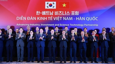Vietnam - Corea del Sur: Impulsando la cooperación en industria, ciencia y tecnología.