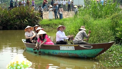 Projektperspektiven: Frauen sichern sich in Hoi An ein nachhaltiges Einkommen durch den Anbau von Seerosen