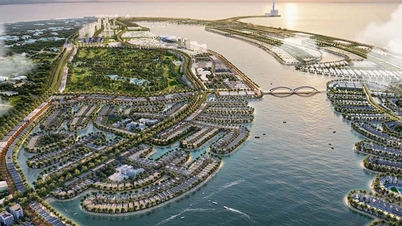 Vinhomes Green Paradise Can Gio and IHG Hotels & Resorts collaborate to bring four international hotel brands to this coastal megacity.