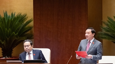 สภาแห่งชาติได้ผ่านมติเกี่ยวกับการจัดตั้งเมืองดงไน
