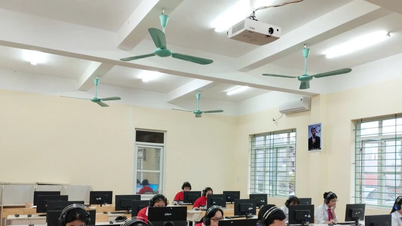 Ninh Binh si è classificata seconda a livello nazionale nelle Olimpiadi di inglese online.