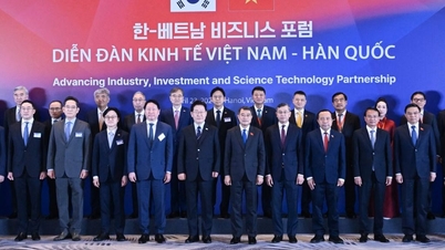 Chủ tịch Tập đoàn Thành Công tham dự Diễn đàn kinh tế Việt Nam – Hàn Quốc
