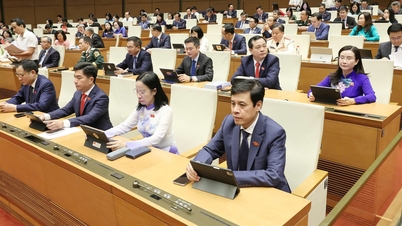 ด่งไนได้รับการยกฐานะเป็นเมืองอย่างเป็นทางการเมื่อวันที่ 30 เมษายน