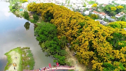 特別な祭り：サルスベリの花が咲き誇る、心揺さぶるひととき。