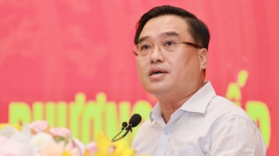Đồng Nai chính thức lên thành phố: Khai thác lợi thế từ sông, tăng kết nối với TP.HCM
