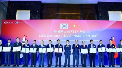 Agribank engagiert sich für die Förderung der finanziellen Vernetzung zwischen Vietnam und Südkorea.