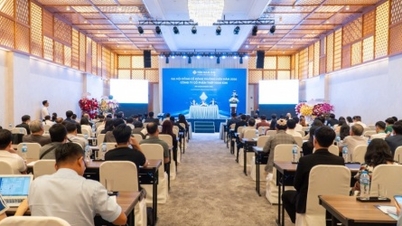 ĐHĐCĐ Thép Nam Kim: Huy động thêm 1.579,7 tỷ đồng từ cổ đông hiện hữu