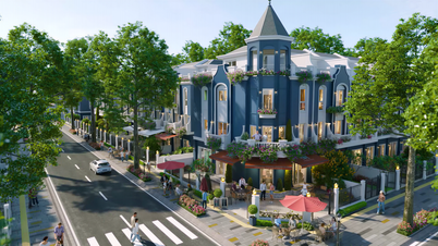 בתי חנויות Eurowindow Central Avenue: יתרון כפול להשקעה