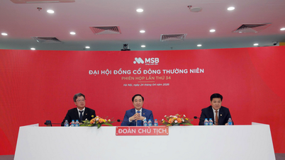 Junta General Anual de MSB de 2026: Aprueba el plan para aumentar el capital a 37.440 mil millones de VND, continuando con el crecimiento sostenible.