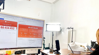 De la pequeña escala al crecimiento constante: los vendedores optimizados logran ingresos revolucionarios en el comercio electrónico.