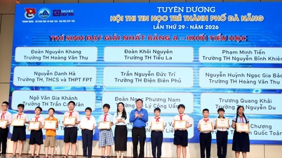 제29회 다낭시 청소년 정보학 경진대회에서 총 771명의 개인 참가자와 단체가 수상의 영예를 안았습니다.
