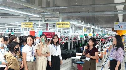 Nghe An Employment Service Center: Wir bringen Arbeitsplätze für Arbeitslose.
