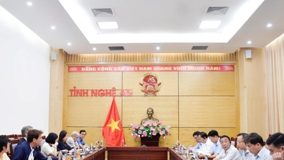 จังหวัดเหงะอานกำลังเตรียมดำเนินโครงการประมงขนาดใหญ่ ซึ่งจะให้บริการแก่เรือประมงประมาณ 2,000 ลำ