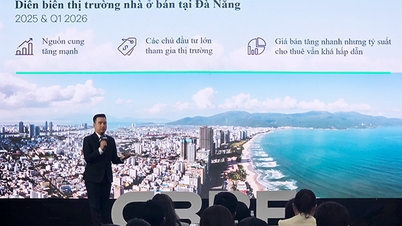 CBRE 베트남: 2026년 다낭 아파트 시장의 세 가지 주요 특징