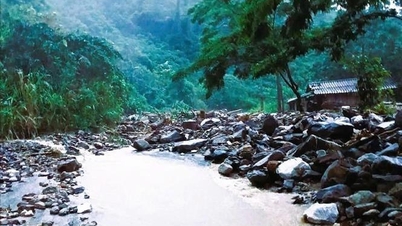 न्घे आन और क्वांग न्गई प्रांतों के कुछ क्षेत्रों में रात भर भारी बारिश होने की संभावना है; गरज, बिजली, अचानक बाढ़ और भूस्खलन के लिए तैयार रहें।