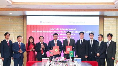 Fórum Econômico Vietnã-Coreia: Agribank promove conectividade financeira e expande a cooperação empresarial.