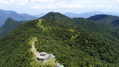 Welche Region in Vietnam erhält die meisten Niederschläge?