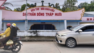 Provincie Dong Thap postaví muzeum Dong Thap Muoi za 700 miliard dongů.