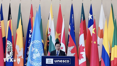 Vietnam apoya la visión y el enfoque de "UNESCO para las personas".