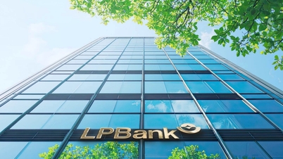 LPBank استراتژی توسعه بین‌المللی و طرح توزیع سود جذاب خود را برای سال 2026 اعلام کرد.