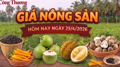 ລາຄາຜະລິດຕະພັນກະສິກຳມື້ນີ້, ວັນທີ 25 ເມສາ: ສິນຄ້າຫຼາຍຢ່າງມີການປ່ຽນແປງຢ່າງຫຼວງຫຼາຍ.