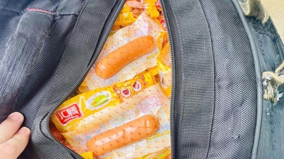 Tons of 'dirty', moldy meat were being smuggled into the domestic market.