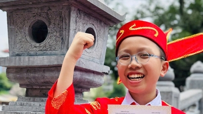 Seorang siswa dari Da Nang telah dianugerahi gelar "Peraih Nilai Tertinggi Termuda" dalam kompetisi nasional.