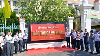 A Mekong-deltában ma található az első Rizsmúzeum.