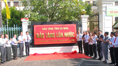 Menubuhkan Muzium Padi dan membangunkan pelan seni bina untuk monumen simbolik yang memperingati penanaman padi.
