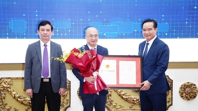 A cidade de Ho Chi Minh aprova quatro projetos de alta tecnologia no valor de US$ 1,23 bilhão.