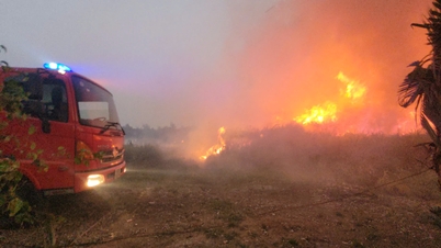 Yetkililer, Binh Duc beldesinde çıkan 1,5 hektarlık sazlık yangınını hızla kontrol altına aldı.