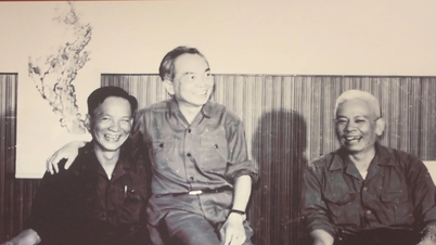Jeneral yang manakah merupakan Timbalan Komander Kempen Ho Chi Minh dan kemudiannya menjadi Presiden Vietnam?