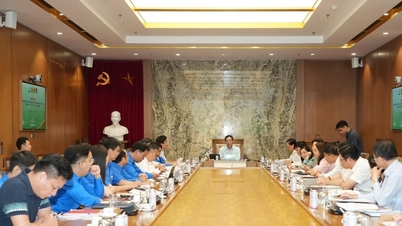 Mejorar la eficacia de la coordinación entre las organizaciones de masas dentro de Petrovietnam.