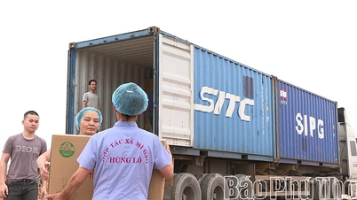 ការភ្ជាប់ទំនាក់ទំនងផលិតកម្ម និងការប្រើប្រាស់ - ទិសដៅសម្រាប់សហករណ៍កសិកម្ម។