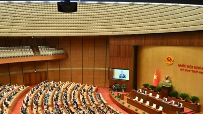 Primera Sesión de la 16ª Asamblea Nacional: Las reformas firmes y decisivas crean una base sólida para un desarrollo trascendental a lo largo de todo el mandato.