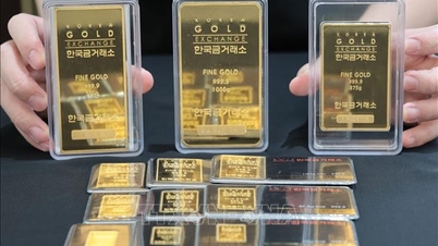 O preço do ouro da SJC caiu até 3,2 milhões de VND na semana passada, sendo negociado abaixo de 170 milhões de VND por onça.