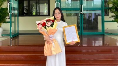 Tinerii contribuie și cresc din experiența practică.
