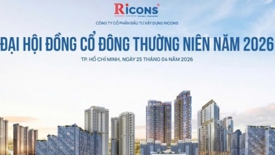 ຜູ້ນຳຂອງ Ricons ກ່າວກ່ຽວກັບການຍົກເລີກສະຖານະພາບບໍລິສັດມະຫາຊົນຂອງບໍລິສັດ.