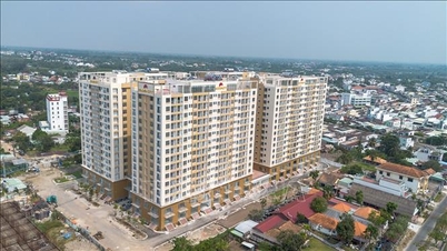 Tay Ninh si propone di completare oltre 80.000 unità abitative sociali.