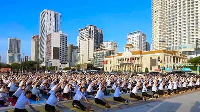 Khánh Hòa đình chỉ hoạt động Liên đoàn Yoga của tỉnh