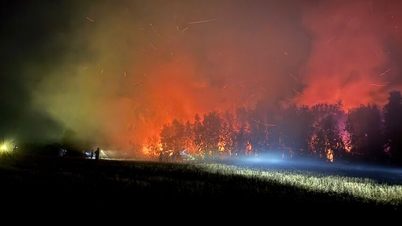 Ongeveer 4,69 hectare melaleuca-bos in de gemeente Co To is door brand verwoest.