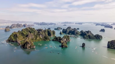 Quang Ninh erntet am ersten Tag des Gedenktages der Hung-Könige eine reiche Ernte.