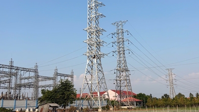 Tiga projek kuasa 110kV di wilayah Delta Mekong telah ditenagai, sekali gus mencegah kekurangan elektrik semasa musim kemarau.