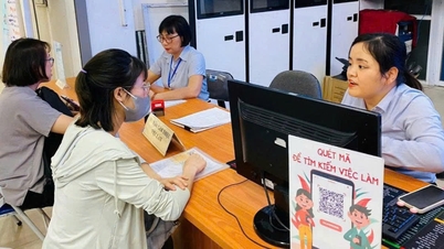 A província de Lam Dong está implementando um programa piloto para o Serviço Nacional de Emprego.