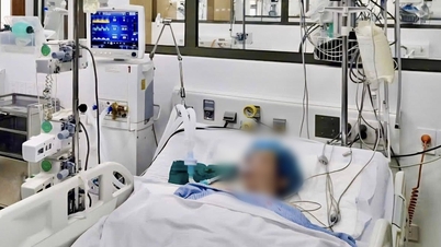 Following a series of drug poisoning cases requiring hospitalization, doctors warn of numerous risks during the holiday season.