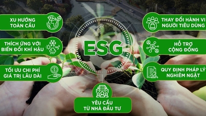 베트남은 글로벌 ESG 투자를 유치할 기회를 가지고 있습니다.