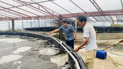 Tân Tiến bứt phá với nuôi trồng thủy sản công nghệ cao, nhiều mô hình thu lãi tiền tỷ mỗi năm