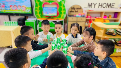 Quang Ninh fomenta el futuro desde la educación infantil temprana.