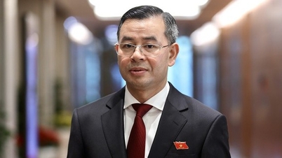 Finansminister Ngo Van Tuan leder arbeidsgruppen for planlegging og administrative institusjoner etter fusjonen.