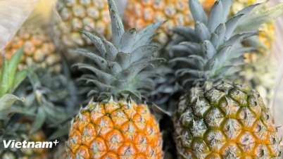 Esta deliciosa fruta está de temporada en Vietnam y es extremadamente nutritiva.